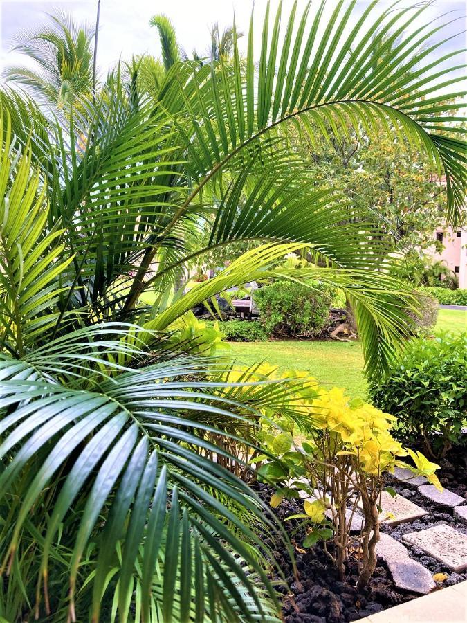 Coconut At Shores - Waikoloa Beach Resort Екстер'єр фото